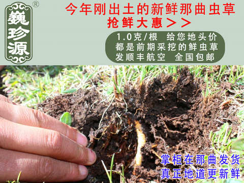 rxĲ^rxΡԴ1/rxĲ^ڳ^rx